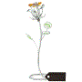 https://www.matashi.com/images/s150/MTFL12986S.gif