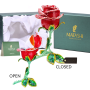 https://www.matashi.com/images/s150/MTTB3050.gif